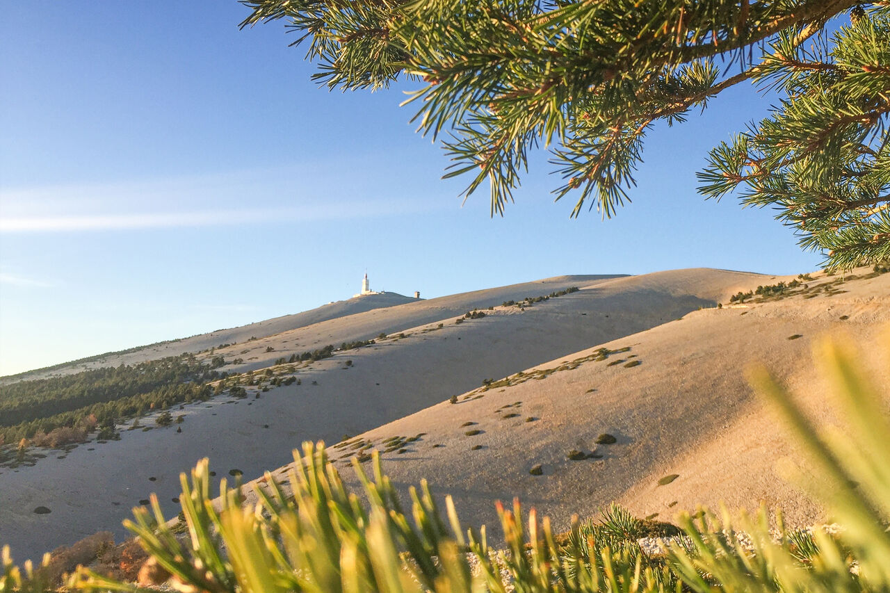 Mont Ventoux Gipfel mit Observatorium, Panoramablick auf dem Camping LIBRANOO Naturiste Belezy in B�doin (84).
