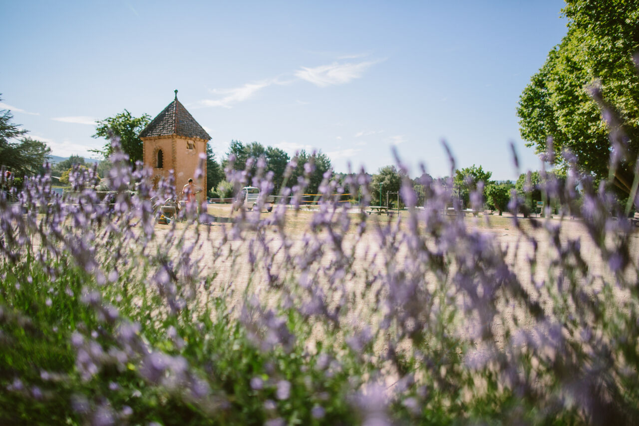 Lavendelfelder und provenzalischer Turm auf dem Campingplatz LIBRANOO Naturiste Belezy in B�doin (84).