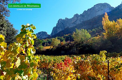 Les Dentelles de Montmirail, farbenfrohe Weinberge im Herbst, Bergmassiv in der Provence.