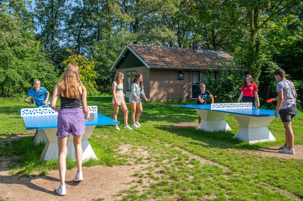 Eibernest, Campingplatz Gelderland - 33