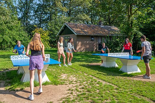 Outdoor-Tischtennisplatten und Jugendliche spielend auf dem Campingplatz CAPFUN Eibernest in Eibergen.