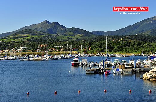 Yachthafen von Argelès-sur-Mer mit Booten und Bergen der Pyrénées-Orientales.