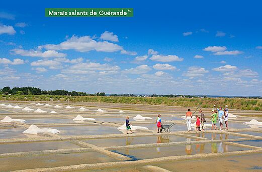 Salzfelder von Guérande, Naturstätte zu besuchen nahe Asserac in Loire-Atlantique.
