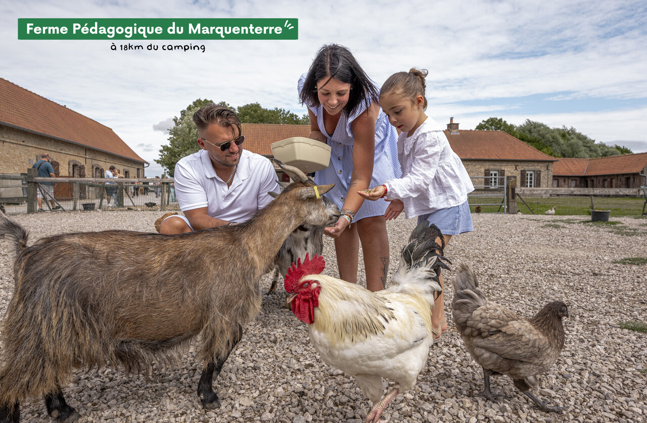 Family feeding goats and chickens at Marquenterre Educational Farm.