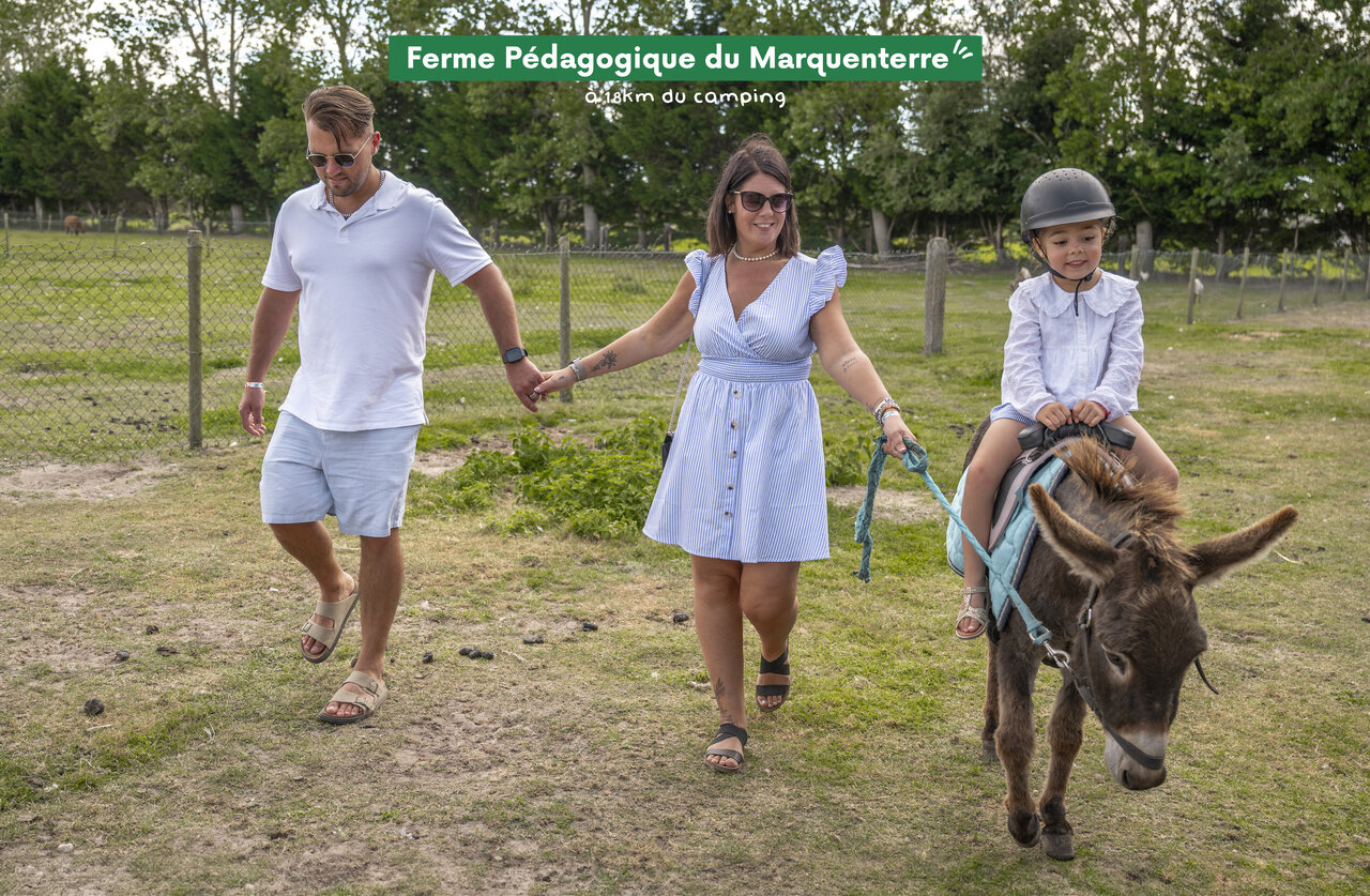 Ferme P�dagogique du Marquenterre, family donkey ride near the campsite.