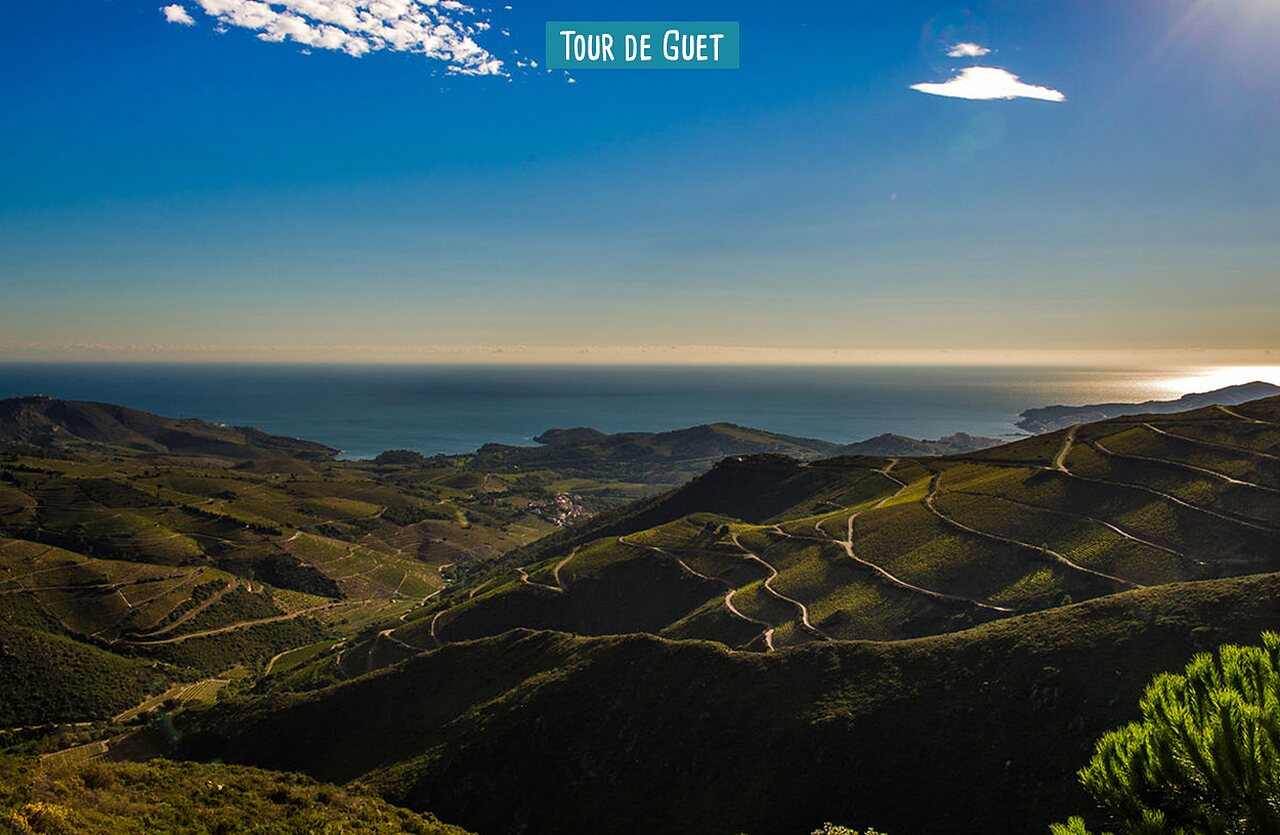 Tour de Guet, Panorama �ber Mittelmeerk�ste und Weinberge von Argel�s-sur-Mer.