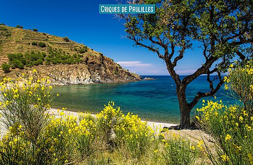 Criques de Paulilles, unberührter Strand und Natur nahe Argelès-sur-Mer, Côte Vermeille.