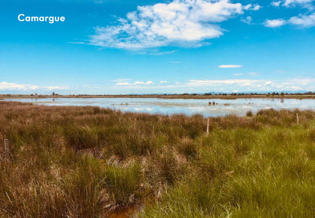 Fleur de Camargue, Campingplatz Languedoc Roussillon - 10