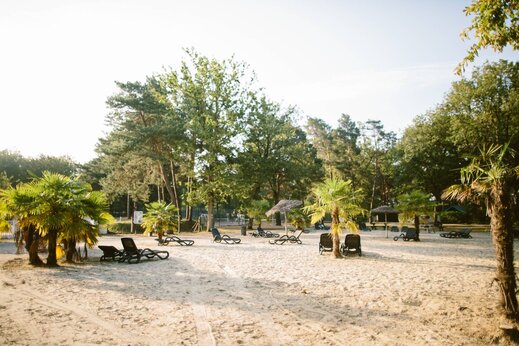 Sandstrand, Palmen und Stühle auf dem Campingplatz CLICOCHIC La Forêt d'Azalée.