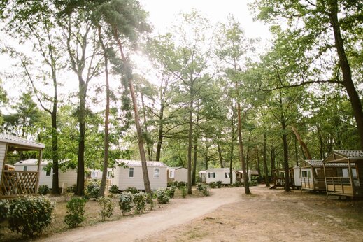 Komfortable und schattige Mobilheime auf dem Campingplatz CLICOCHIC La Forêt d'Azalée (91).