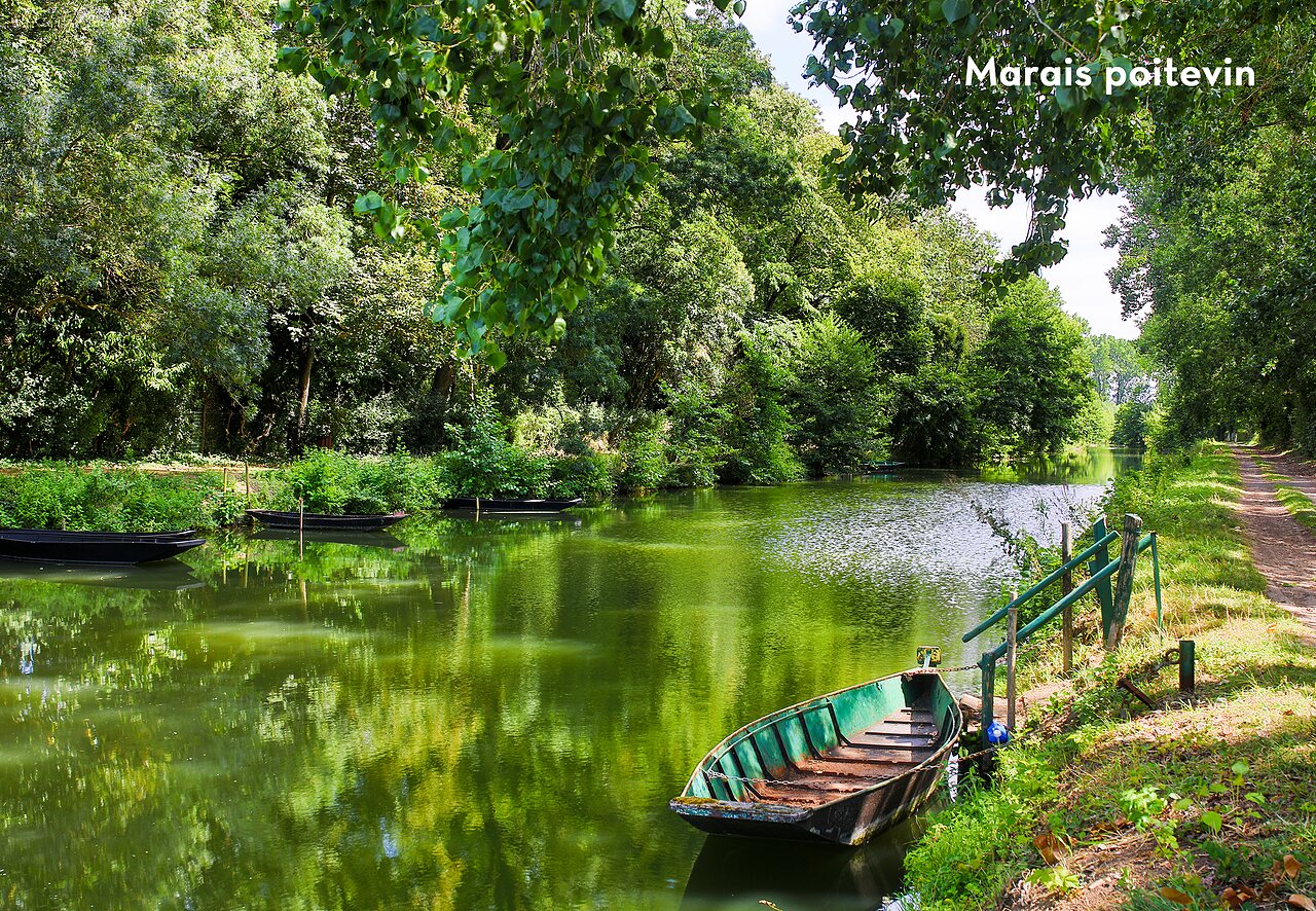 Traditionelle Boote auf einem gr�nen Kanal im Marais Poitevin, Region Nouvelle-Aquitaine.