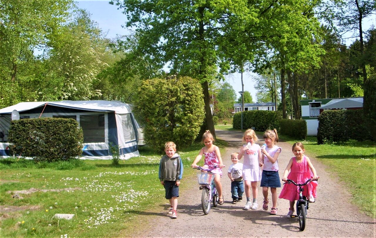 Kinder auf Fahrr�dern und zu Fu� auf Campingweg, CAPFUN Fort Bedmar Sint-Gillis-Waas.