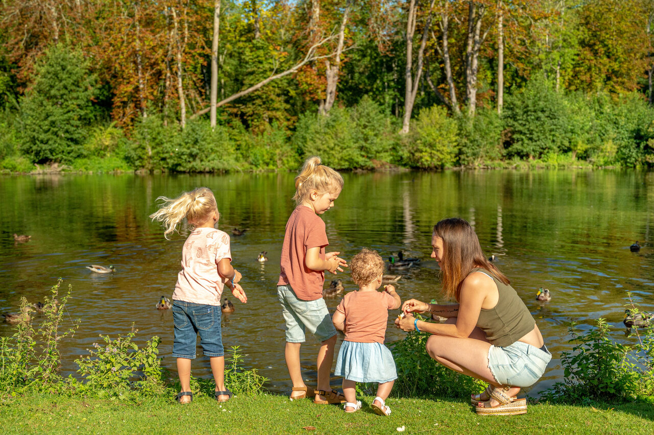 Familie f�ttert Enten am See, auf dem CAPFUN Fredland Campingplatz in Tournan en Brie (77).