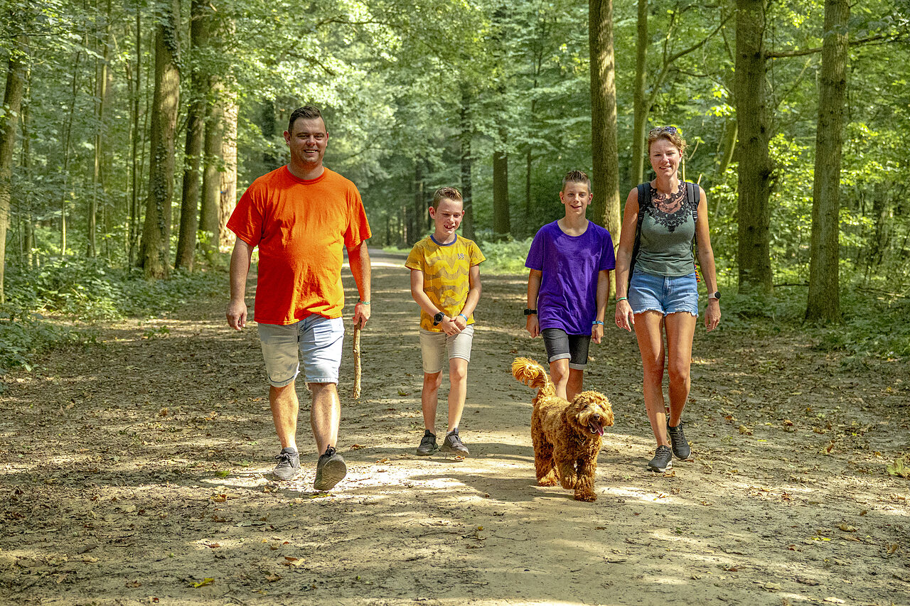 Familie mit Hund auf Waldweg unterwegs auf Campingplatz CAPFUN De Fruithof in Klijndijk.
