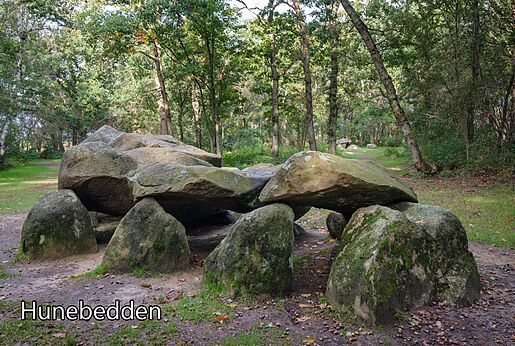 Prähistorischer Hünengrab (Hunebed) in bewaldeter Umgebung, zu besuchen in Drenthe.