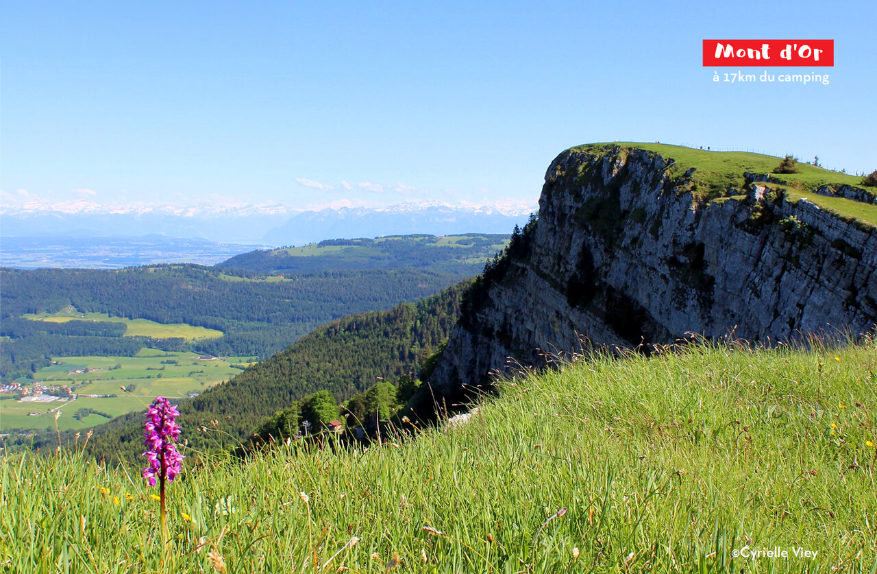 Mont d'Or, iconic Jura mountain, a must-visit attraction near the campsite.