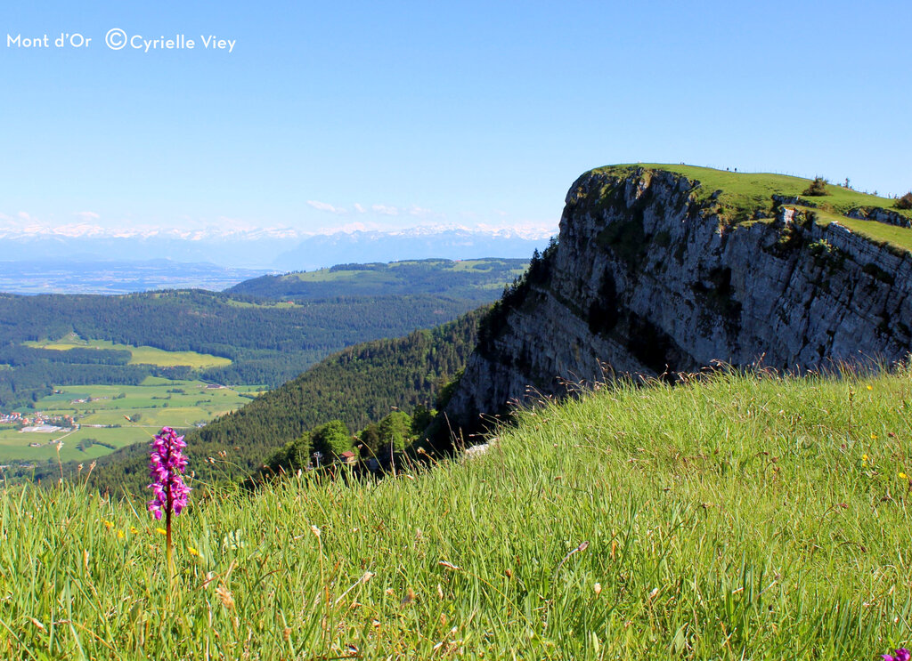 Fuvettes, Campingplatz Franche Comt - 24