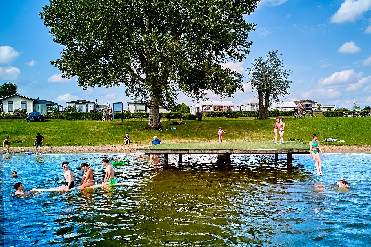 Wassersport, Schwimmen und Steg am See auf dem Campingplatz CAPFUN Groene Eiland in Appeltern.