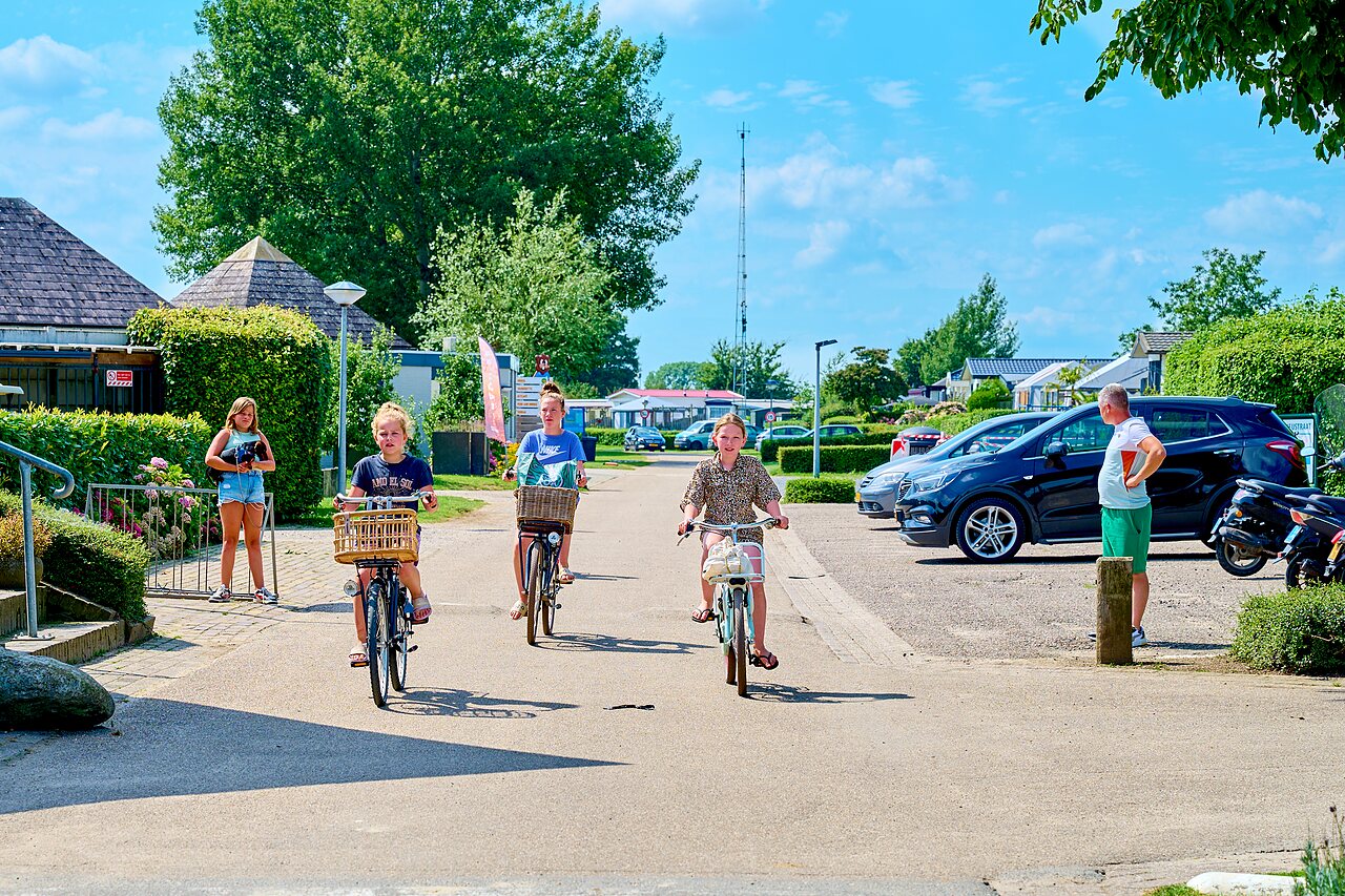 Kinder fahren Fahrrad auf einer belebten Allee des Campingplatzes CAPFUN Groene Eiland in Appeltern.