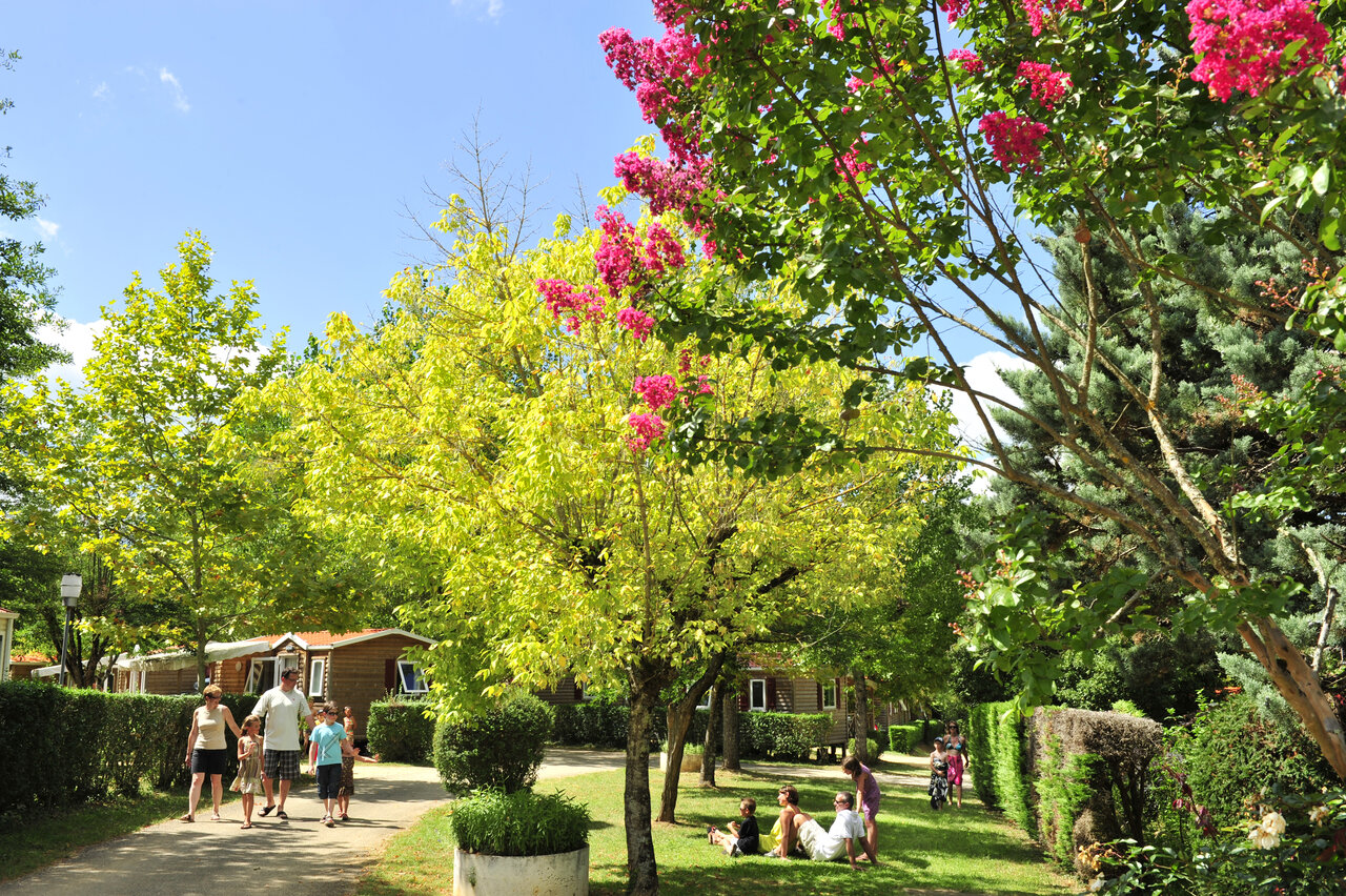 Families walking and relaxing near mobile homes at CAPFUN Hauts de Ratebout campsite in STE FOY DE BELVES (24).