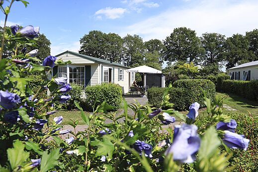 Mobilheim mit Terrasse und Grünfläche auf dem Campingplatz CAPFUN Heino in Heino.