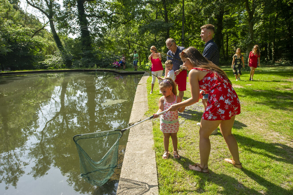 L'hirondelle, Holiday Park Ardennes - 29