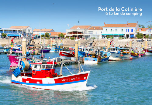 Belebter Fischerhafen von La Cotinière auf der Insel Oléron, zu besichtigen.