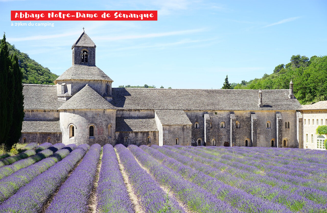 Abtei Notre-Dame de S�nanque und Lavendelfelder, Sehensw�rdigkeit in der Provence.