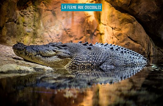 La Ferme aux Crocodiles, Touristenattraktion in der N�he des Campingplatzes.