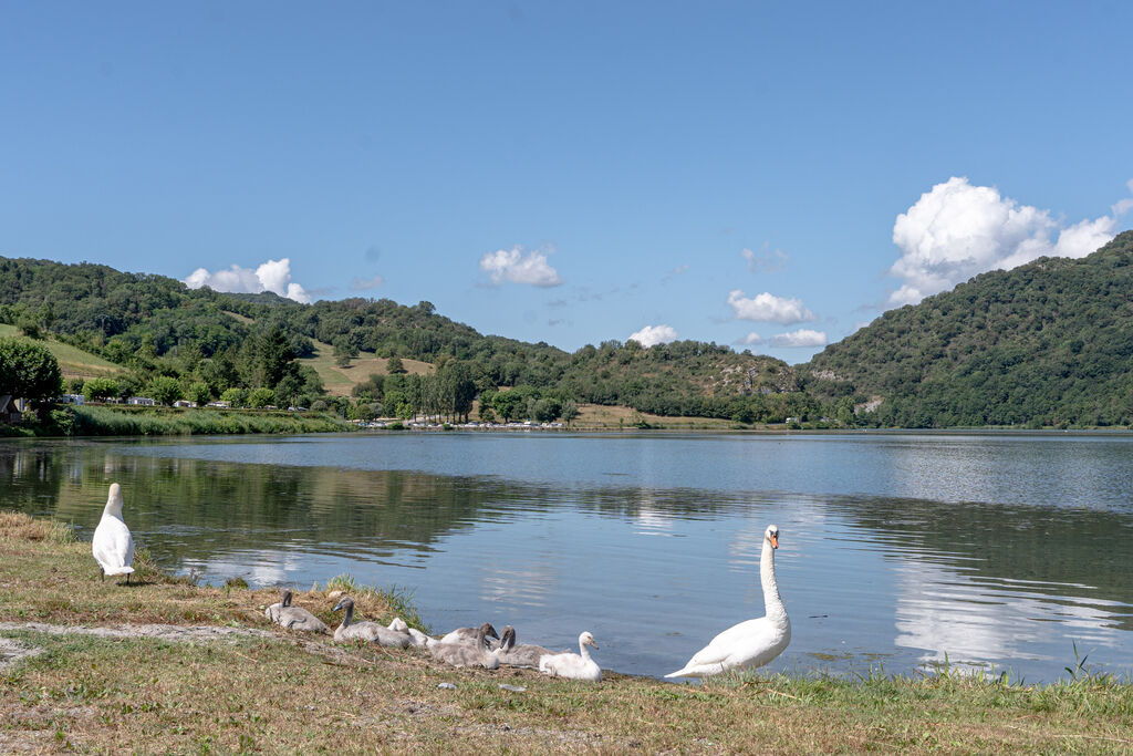 Lac du Lit du Roi, Campingplatz Rhone Alpes - 19