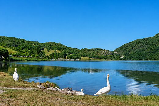 See auf dem Campingplatz CLICOCHIC Lac du Lit du Roi in Massignieu-de-Rives.