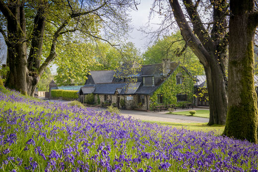Blausternchenfeld und Hauptgeb�ude des Campingplatzes CAPFUN UK Lakeview Manor.