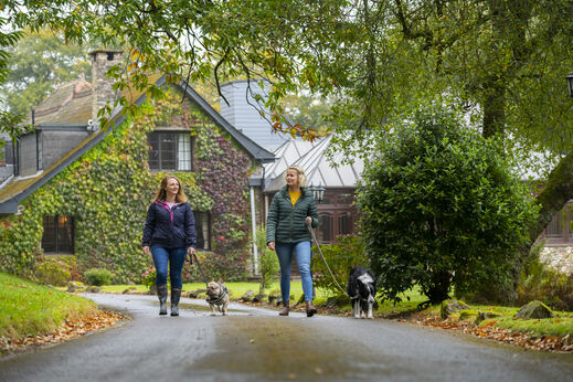 Frauen und Hunde auf gr�nem Weg, Camping CAPFUN UK Lakeview Manor in Dunkeswell.