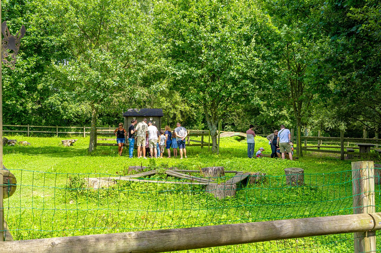 Naturanimation, Spiele auf dem Campingplatz VAGUES OCEANES Les Iles in Hudimesnil (50).