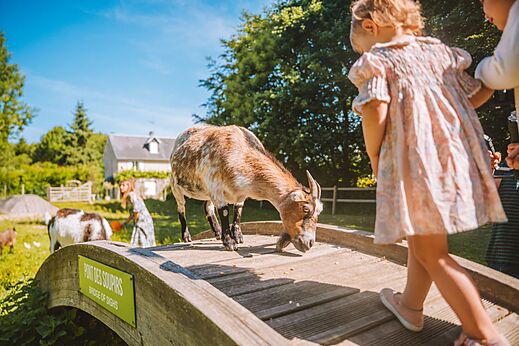 Geit en kinderen op houten brug, activiteit op camping VAGUES OCEANES Les Iles.