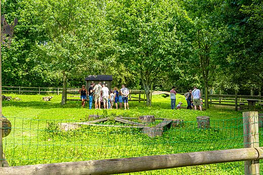 Miniboerderij met dieren en gezinnen op camping VAGUES OCEANES Les Iles in Hudimesnil.