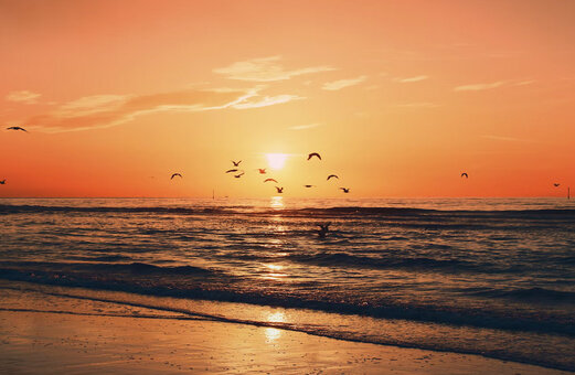 Plage de sable et océan au coucher du soleil avec oiseaux au camping VAGUES OCEANES Licorne à Dunkerque (59).