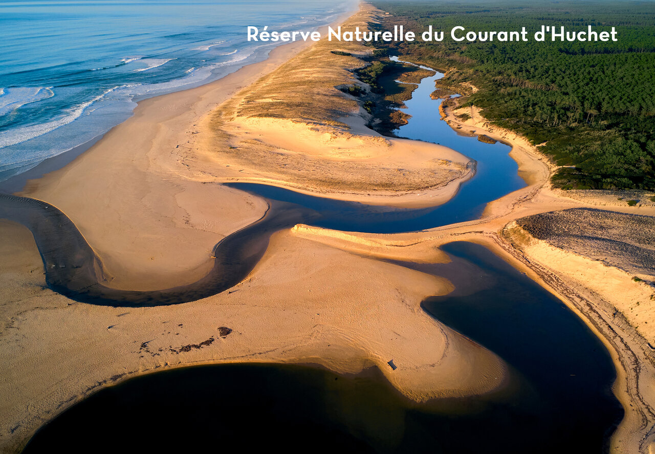 Courant d'Huchet Natural Reserve, beach, river, and forest in Landes.