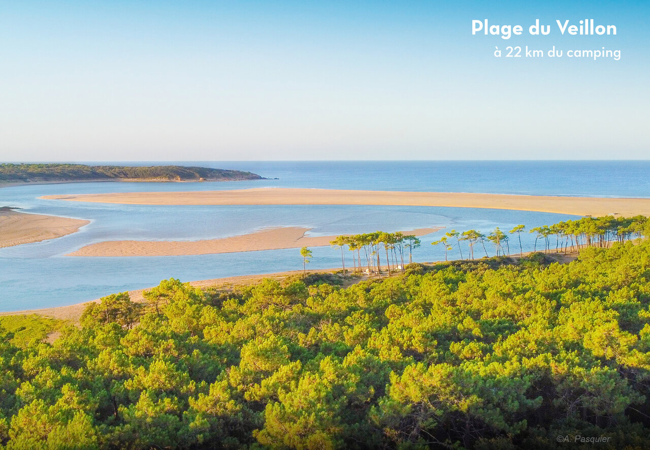 Plage du Veillon, M�ndung und Pinienwald nahe Les Sables d'Olonne.