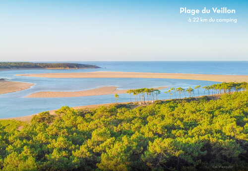 Plage du Veillon, Mündung und Pinienwald, ein Ort zu besuchen in der Vendée.