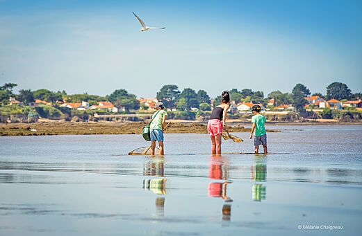 Familie beim Strandfischen mit Netzen am Strand, CAPFUN Madrague in PORNIC (44).