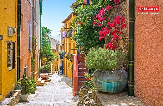 Charmante blühende und farbenfrohe Straße in Collioure, typisches Dorf in den Pyrenäen.