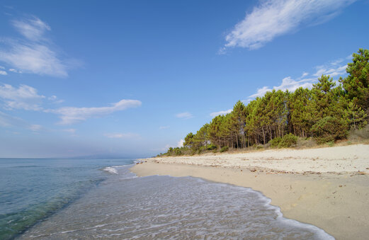 Zandstrand en pijnbomen op CAPFUN Marina d'Al�ria in Aleria (20).