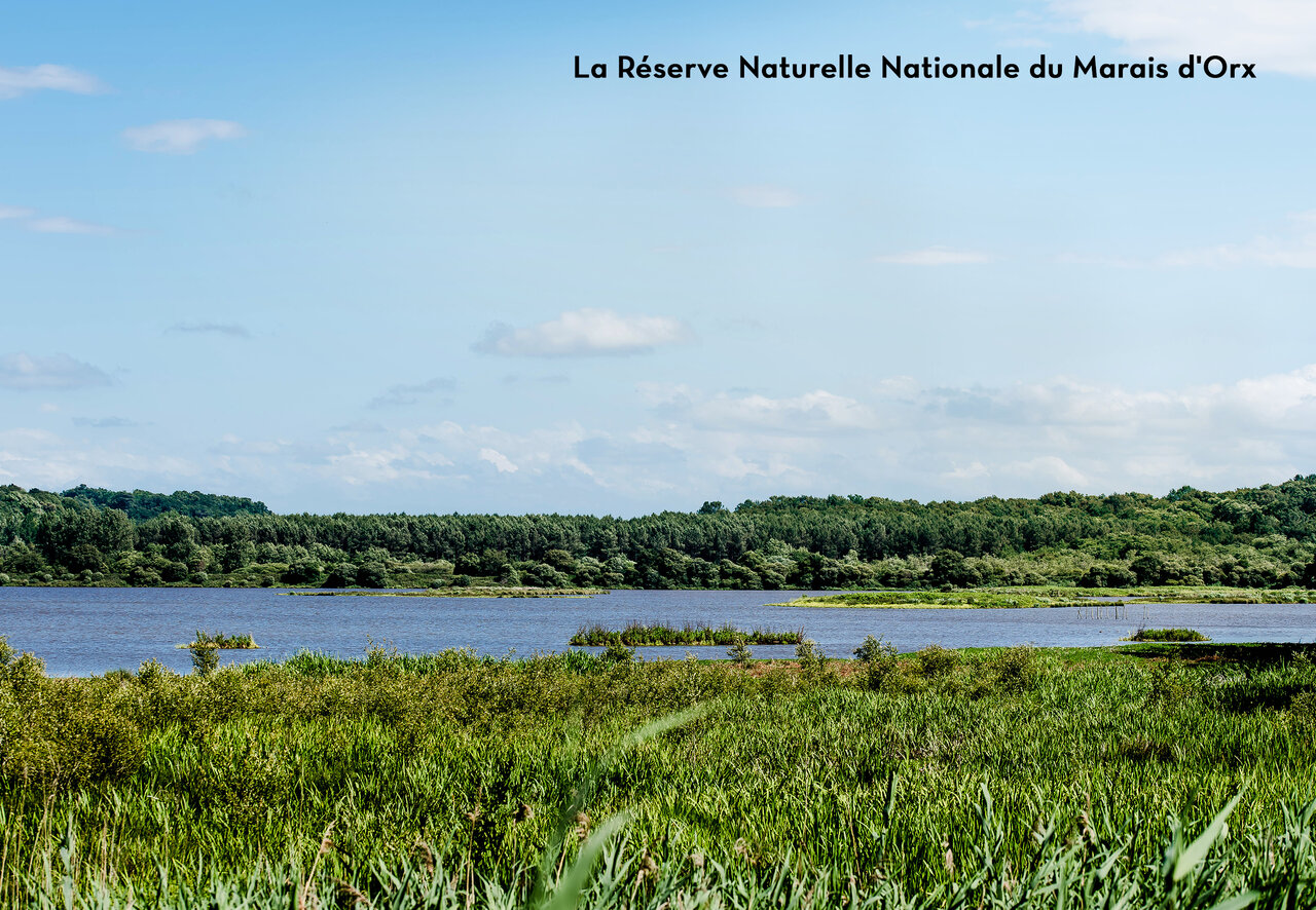 Marais d'Orx National Nature Reserve, a natural place to visit in Nouvelle-Aquitaine.