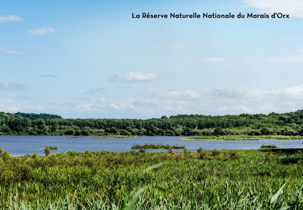 La Mer, Campingplatz Aquitanien - 31