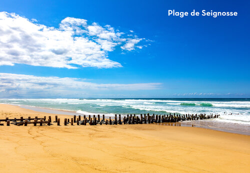 Strand von Seignosse mit Holzwellenbrechern, ein Ausflugsziel in den Landes.