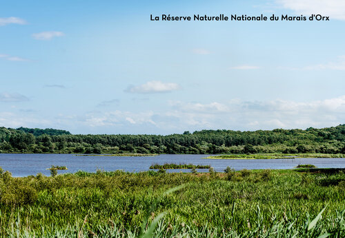 Nationales Naturreservat Marais d'Orx, ein Ort zu besuchen nahe Labenne-Océan.