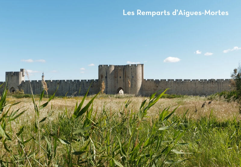 Campingplatz Mille Ppites, Campingplatz Languedoc Roussillon - 5