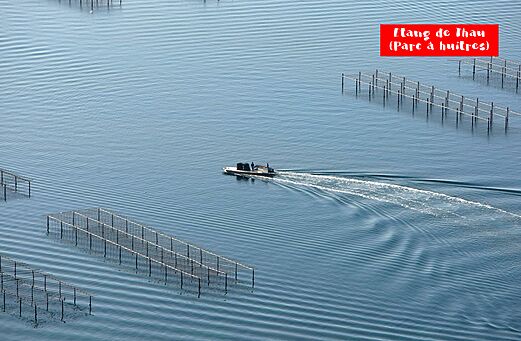 Etang de Thau en oesterparken met boot, nabij Sète.