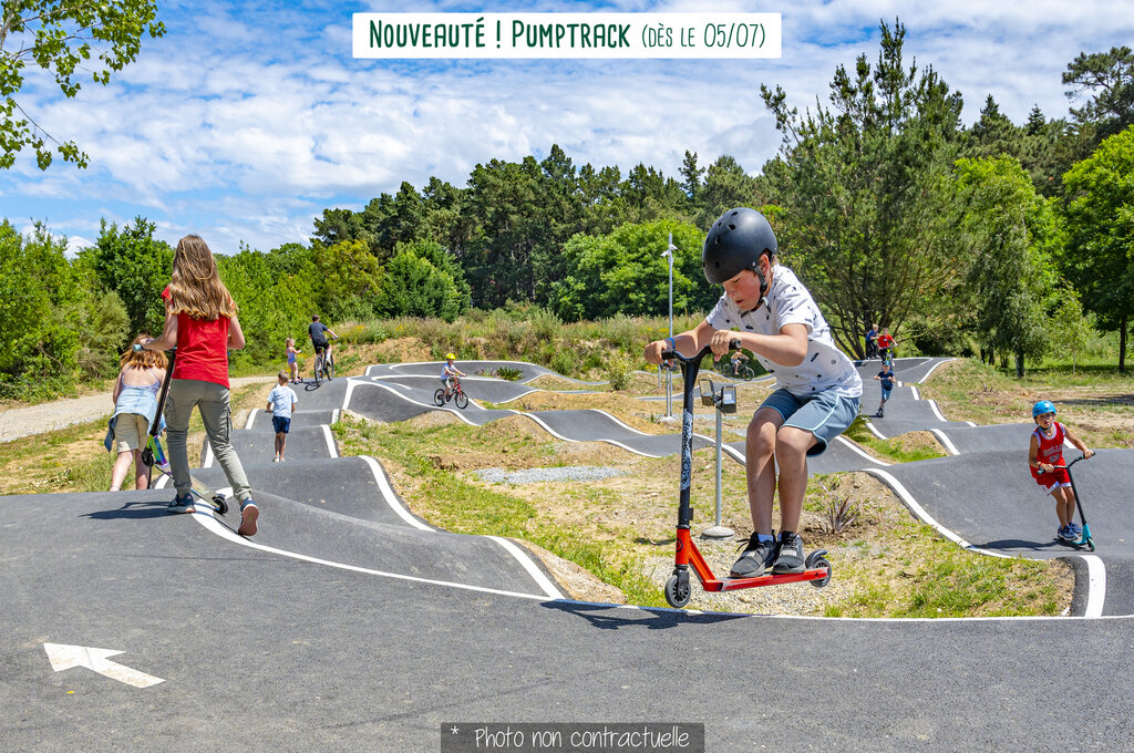 Mirabelle, Campingplatz Lothringen - 4